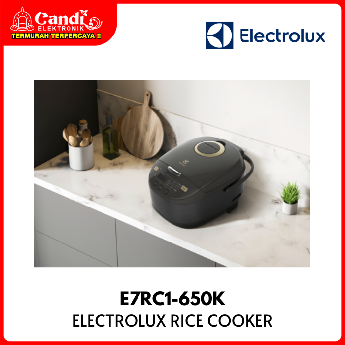 Electrolux Rice Cooker